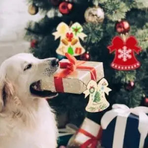 Unfinished Paintable Wooden Christmas Festival Decorations-Made China 20PCS/40PCS Blank Ornaments 5 Designs Xmas Tree Hanging