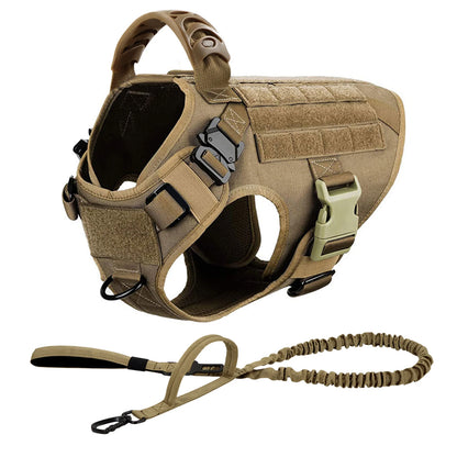 Dog Harness And Leash Set