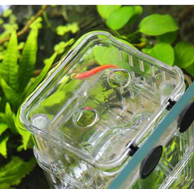 Multifunctional Fish Aquarium Fish Breeding Isolation Box High Clear Aquarium Breeder FishTank Double Guppies Hatching Incubator