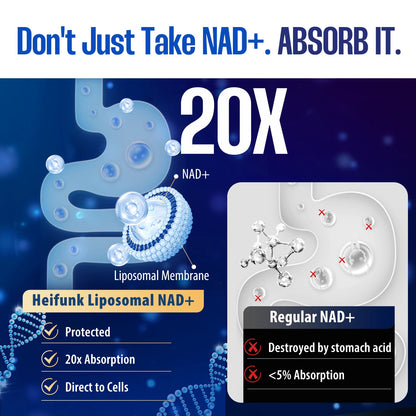 Supplement 1450mg NAD Resveratrol Supplement for Women and Men NAD+ Support Cellular Health Anti Aging 90 Count