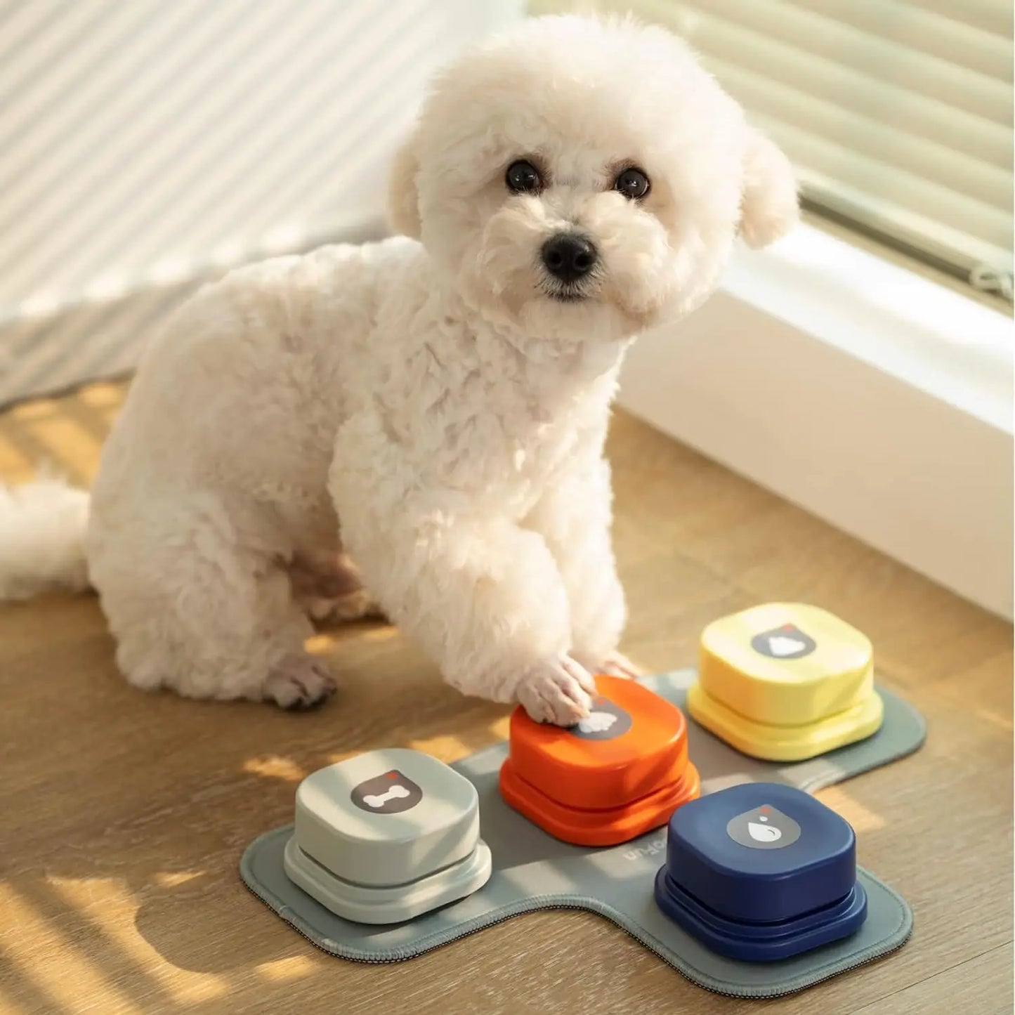 ZUJOLY Dog Button Record Talking Pet Communication Vocal Training Interactive Toy Bell Ringer With Pad and Sticker Easy To Use