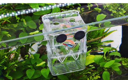 Multifunctional Fish Aquarium Fish Breeding Isolation Box High Clear Aquarium Breeder FishTank Double Guppies Hatching Incubator