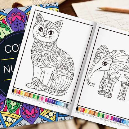 Color by Number for Adults Coloring Book 32 Pages Floral Mandala Design Stress Relief Relaxation Therapy Activity Book