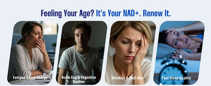 Supplement 1450mg NAD Resveratrol Supplement for Women and Men NAD+ Support Cellular Health Anti Aging 90 Count