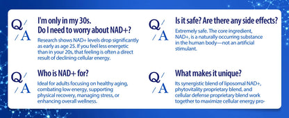 Supplement 1450mg NAD Resveratrol Supplement for Women and Men NAD+ Support Cellular Health Anti Aging 90 Count